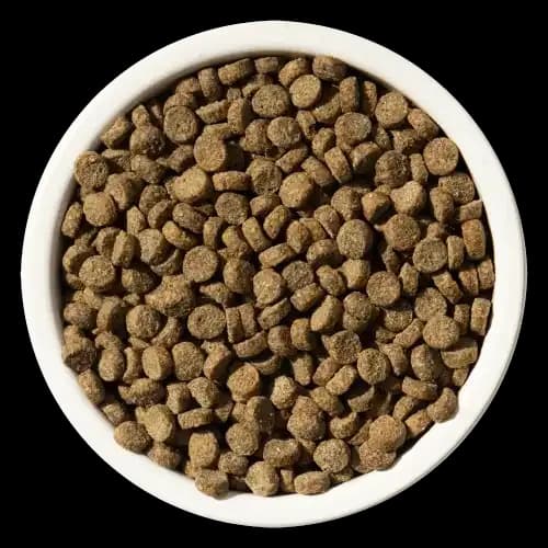 Dry cat food