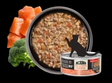 Wet cat food
